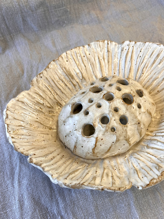 Cosmos Ikebana Bowl