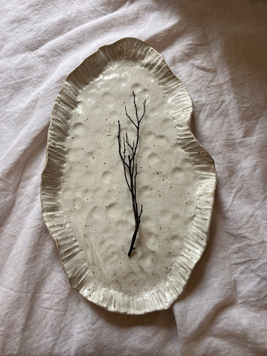 Cosmos Serving Platter