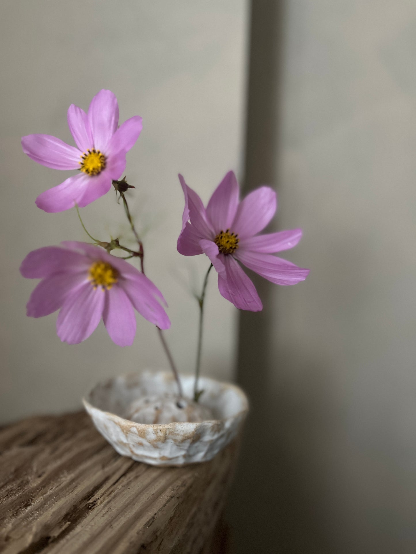 Ikebana Bowl Workshop - multiple dates